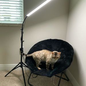 Photography studio lamp